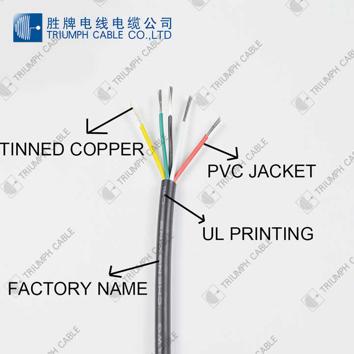 Cable para instrumento electrónico