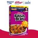 Raisin Bran